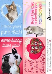 Classroom Valentine's Set [Pre-Order]