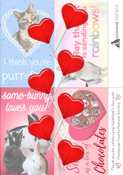 Deluxe Classroom Valentine's Set [Pre-Order]